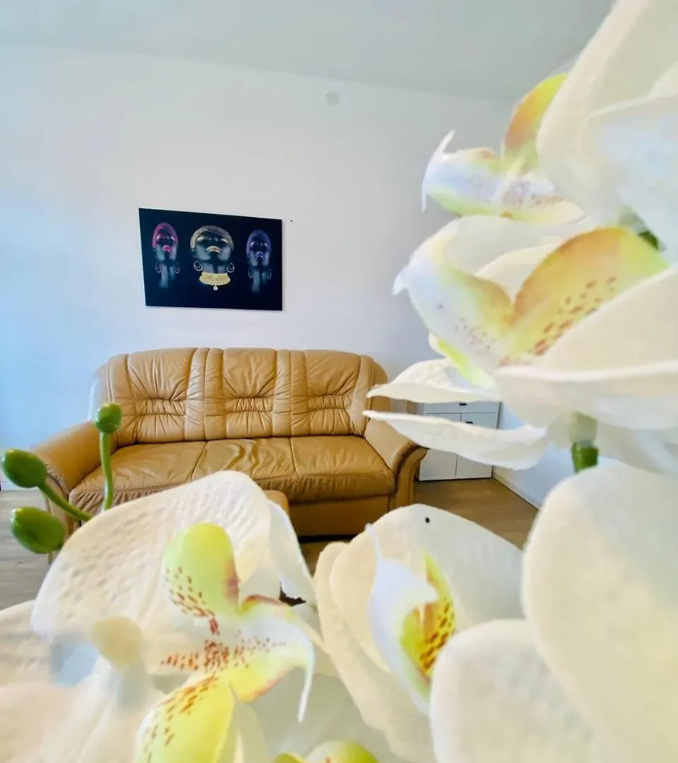 Comfort Room In Floridsdorf Area Sd Vienna