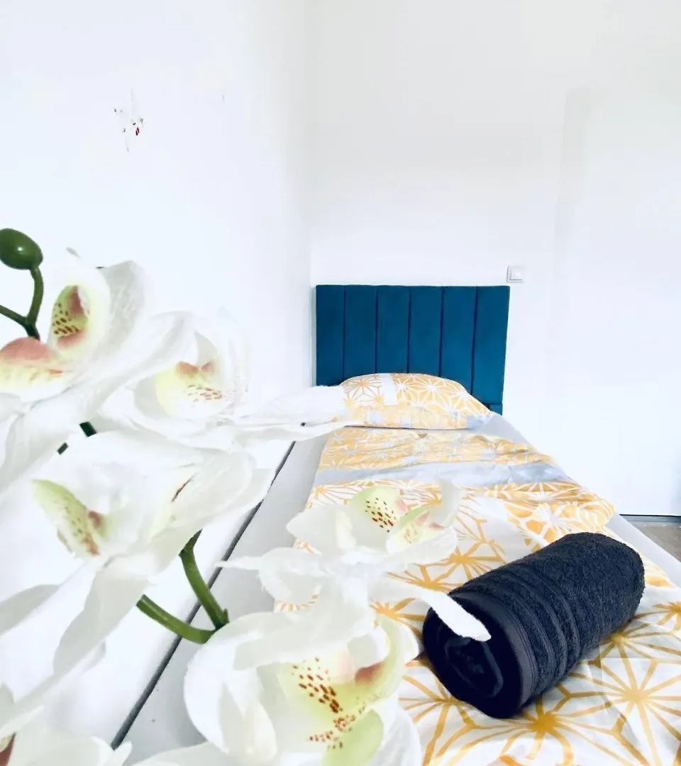 Comfort Room In Floridsdorf Area Sd Vienna Homestay