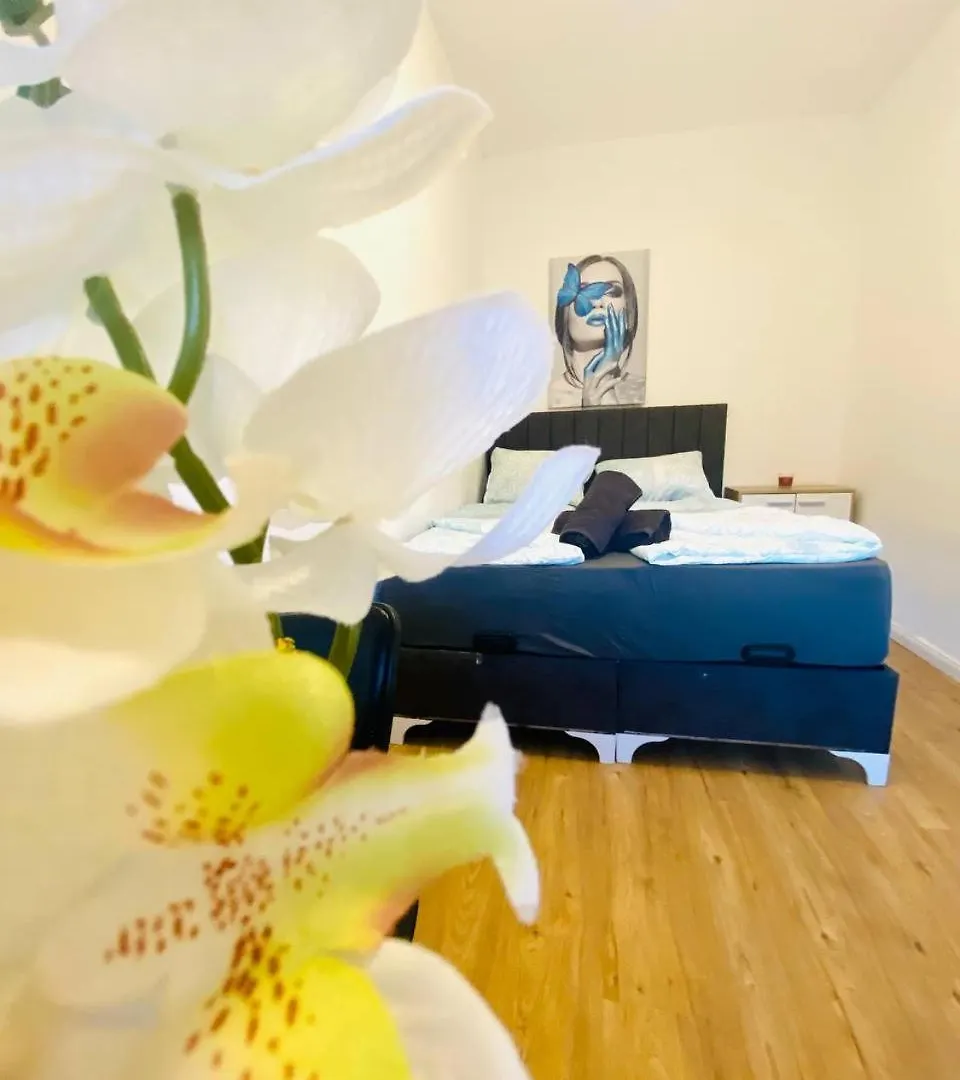 Comfort Room In Floridsdorf Area Sd Vienna 0*,