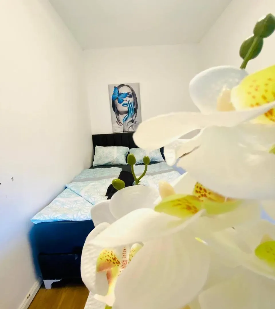 Comfort Room In Floridsdorf Area Sd Vienna 0*,  Austria