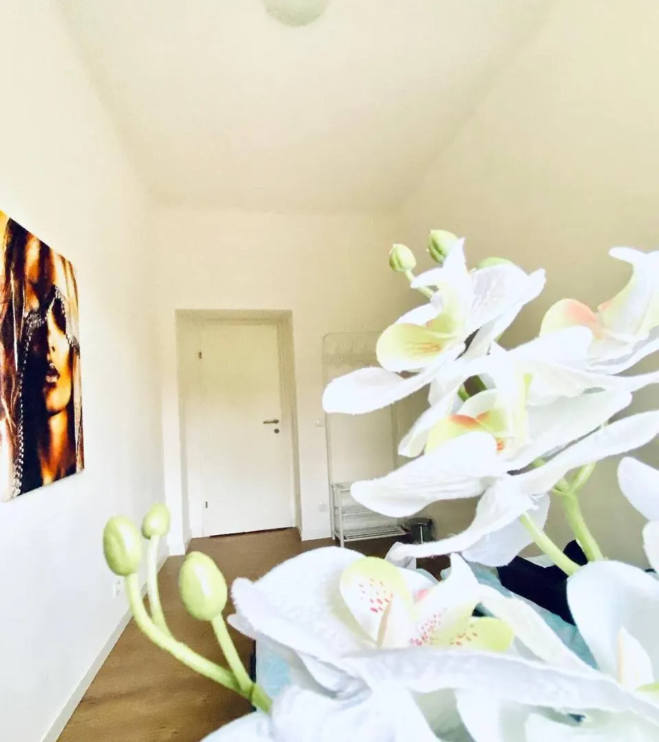 Comfort Room In Floridsdorf Area Sd Vienna Austria