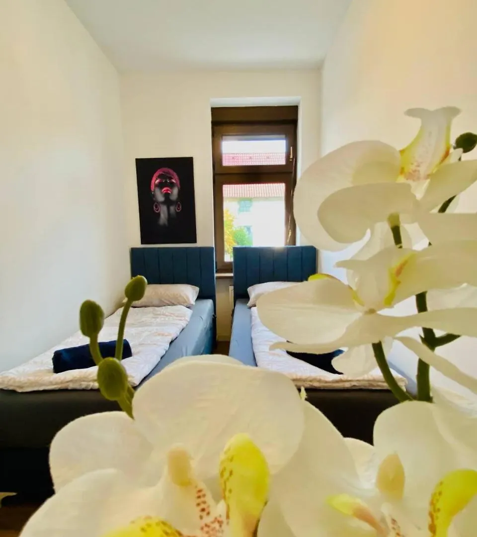 Comfort Room In Floridsdorf Area Sd Vienna 0*,